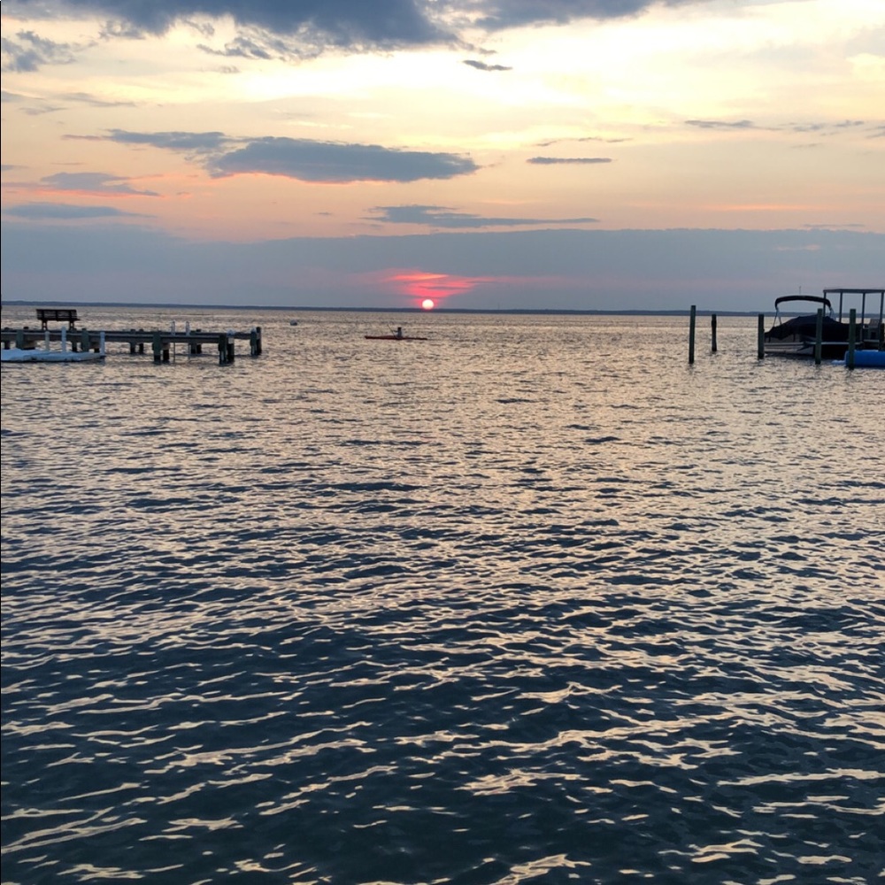 Meet your Posher, Abby